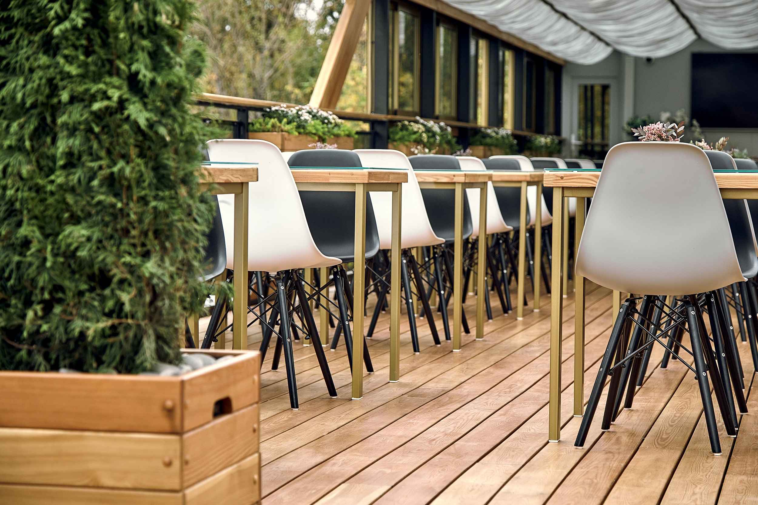 Прогулочный теплоход. Теплоход морис москва. Теплоход морис. Теплоход морис москва. Теплоход волна москва.